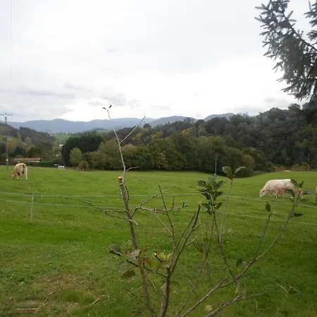 Larzabalea Tatil Evi Sare