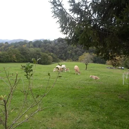 Tatil Evi Larzabalea Sare